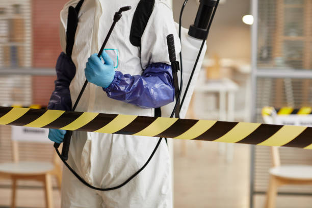 Professional Sewage Cleanup technician working in Stafford, OR